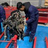 Level 2 Full Time Study Programme - Vehicle Maintenance